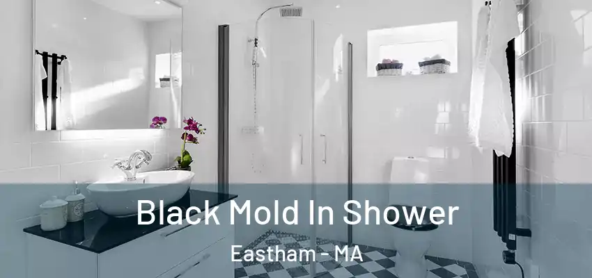 Black Mold In Shower Eastham - MA