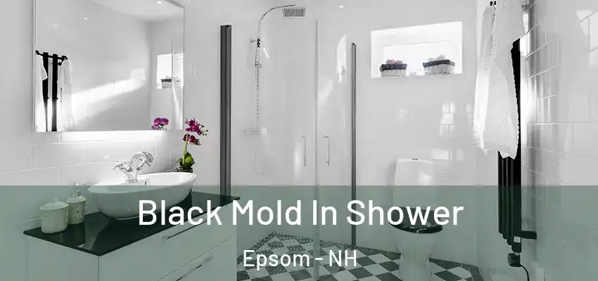 Black Mold In Shower Epsom - NH