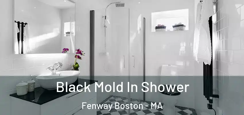 Black Mold In Shower Fenway Boston - MA