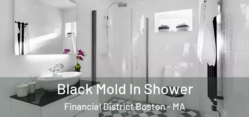 Black Mold In Shower Financial District Boston - MA