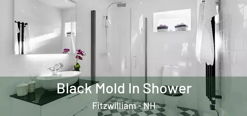  Black Mold In Shower Fitzwilliam - NH