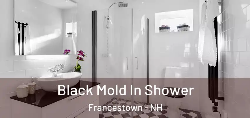 Black Mold In Shower Francestown - NH