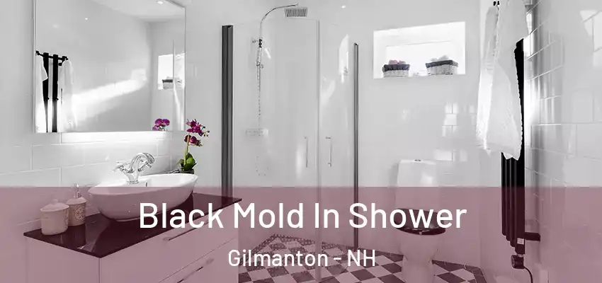  Black Mold In Shower Gilmanton - NH
