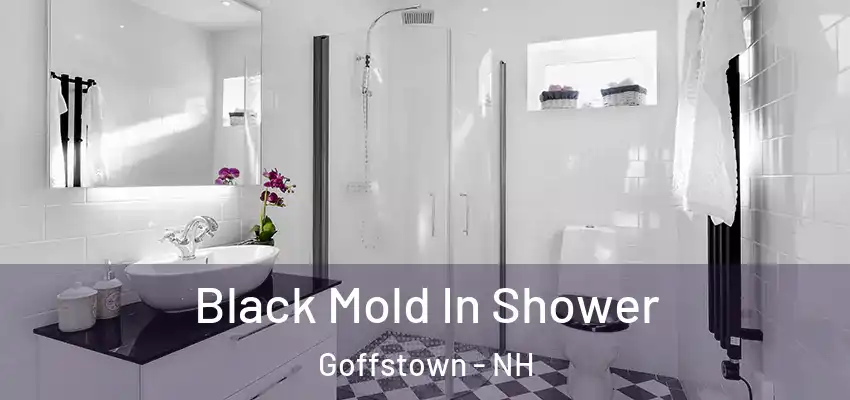  Black Mold In Shower Goffstown - NH