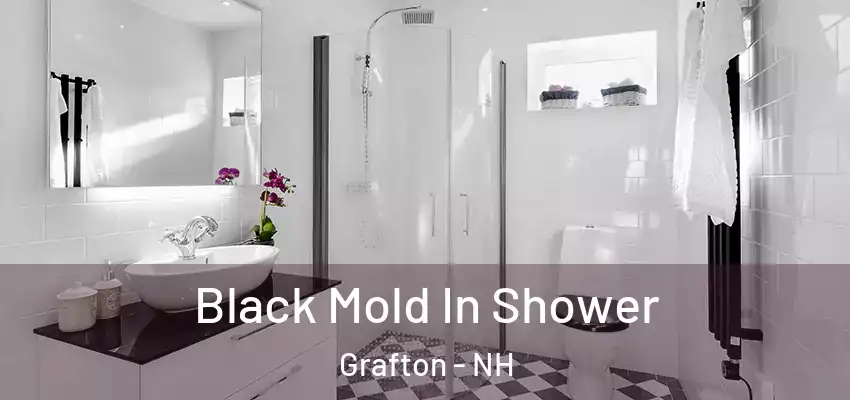 Black Mold In Shower Grafton - NH