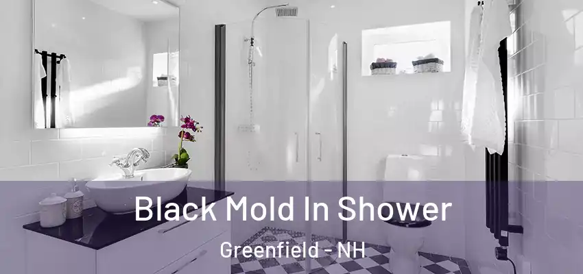 Black Mold In Shower Greenfield - NH