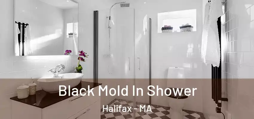 Black Mold In Shower Halifax - MA