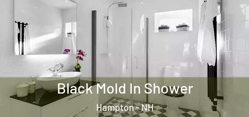  Black Mold In Shower Hampton - NH