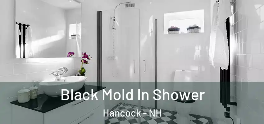  Black Mold In Shower Hancock - NH