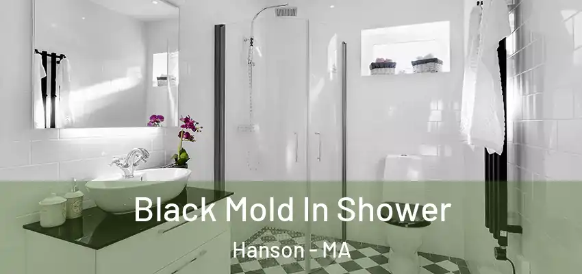  Black Mold In Shower Hanson - MA