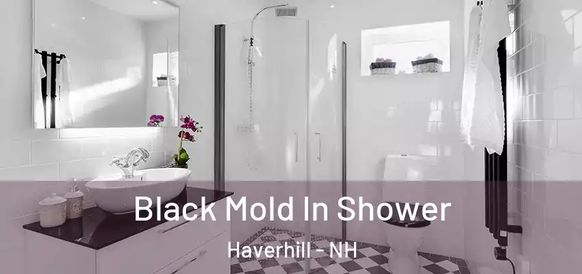 Black Mold In Shower Haverhill - NH