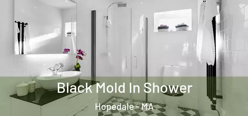  Black Mold In Shower Hopedale - MA