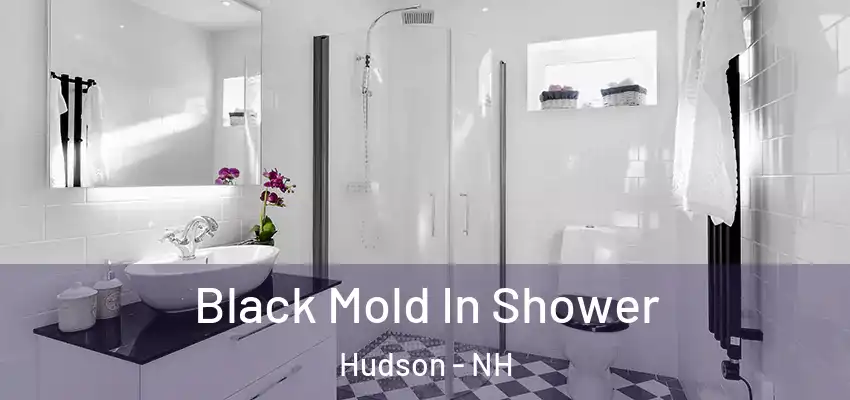 Black Mold In Shower Hudson - NH