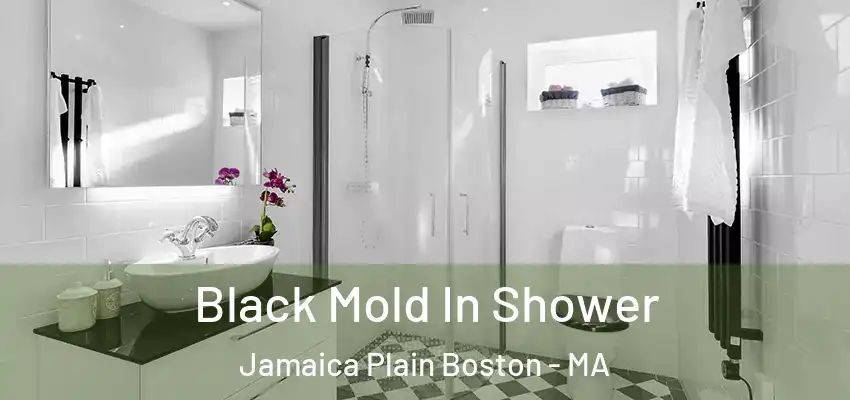  Black Mold In Shower Jamaica Plain Boston - MA