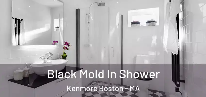 Black Mold In Shower Kenmore Boston - MA