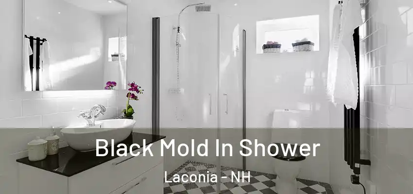 Black Mold In Shower Laconia - NH