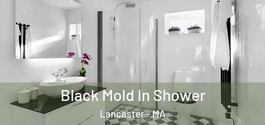  Black Mold In Shower Lancaster - MA
