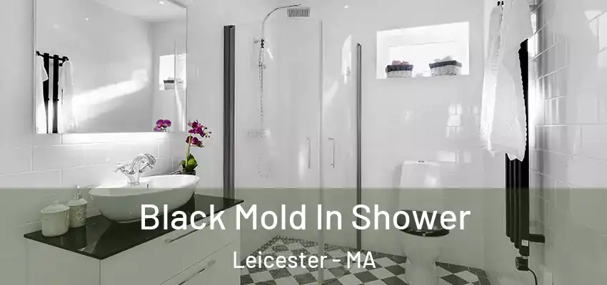  Black Mold In Shower Leicester - MA