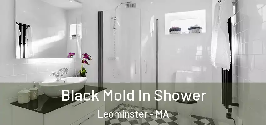 Black Mold In Shower Leominster - MA