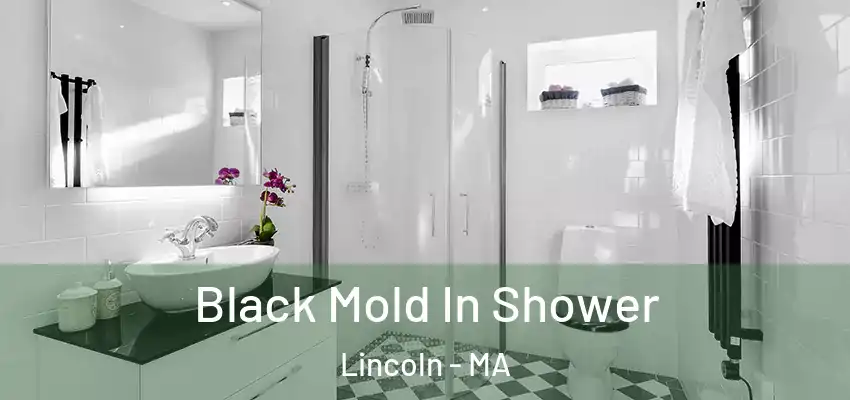 Black Mold In Shower Lincoln - MA