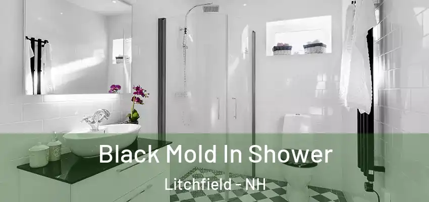 Black Mold In Shower Litchfield - NH