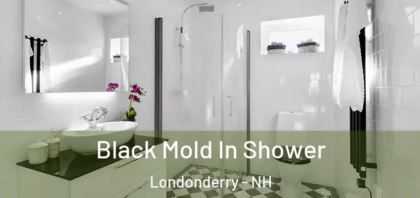 Black Mold In Shower Londonderry - NH
