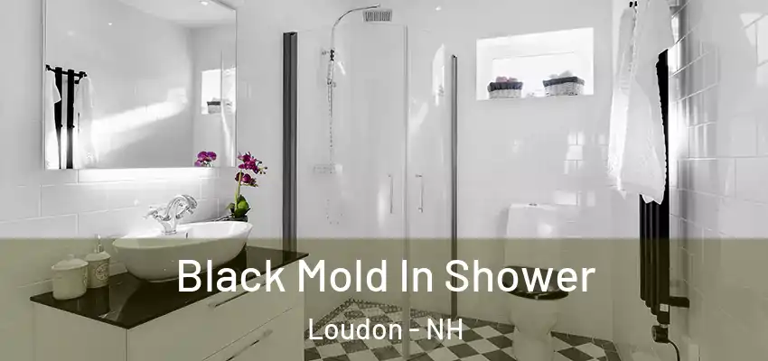 Black Mold In Shower Loudon - NH