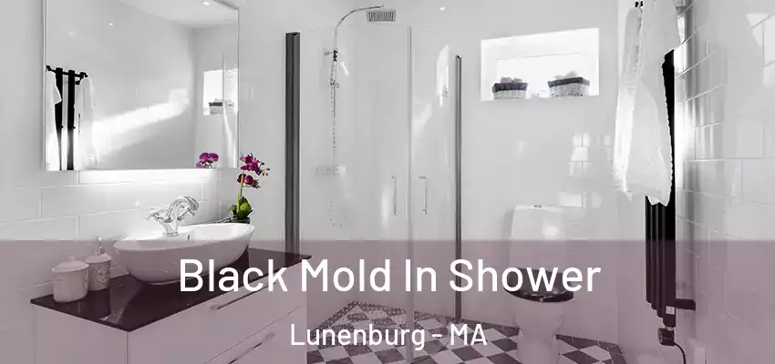Black Mold In Shower Lunenburg - MA