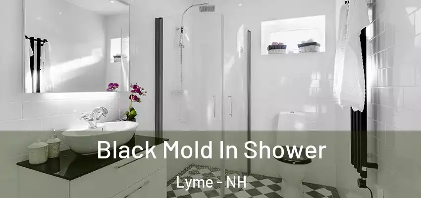 Black Mold In Shower Lyme - NH