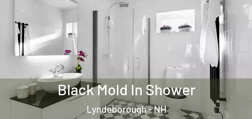 Black Mold In Shower Lyndeborough - NH