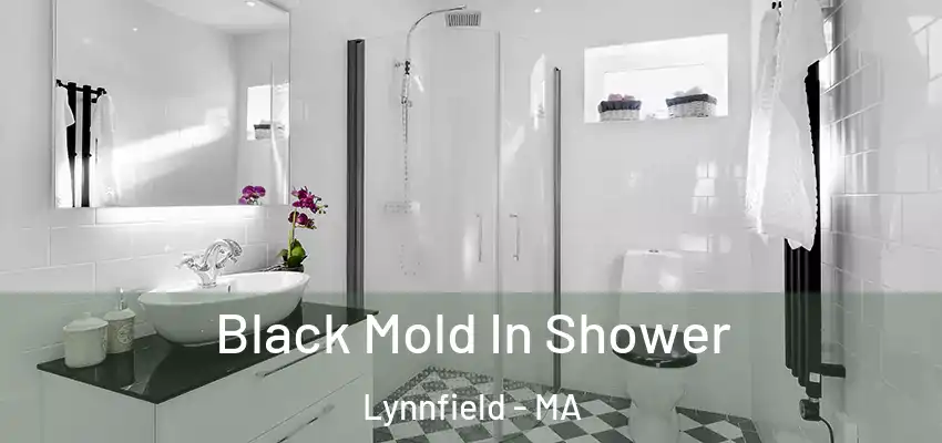  Black Mold In Shower Lynnfield - MA