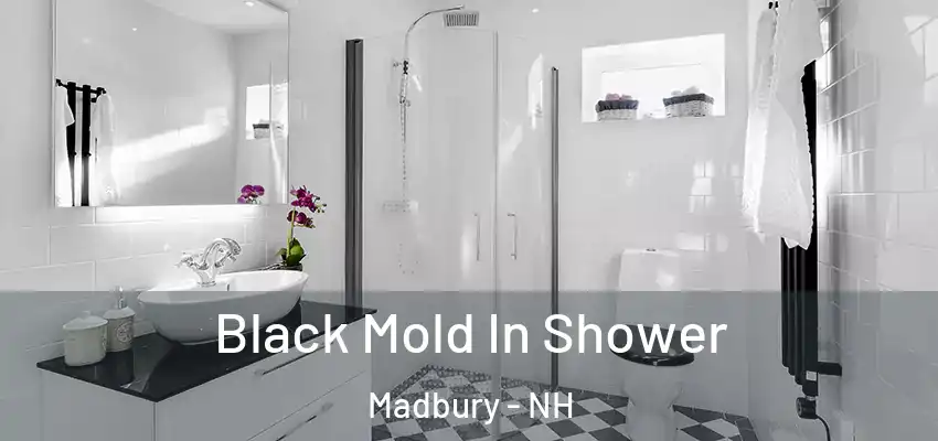 Black Mold In Shower Madbury - NH