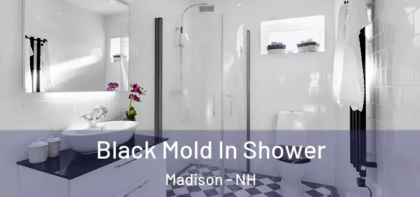 Black Mold In Shower Madison - NH