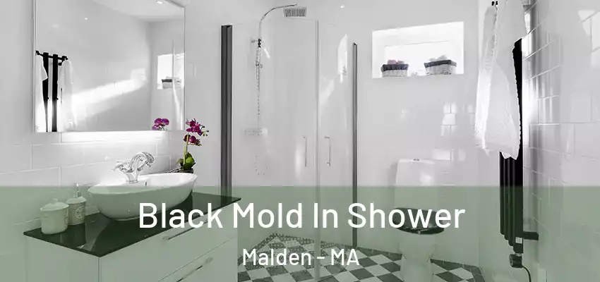  Black Mold In Shower Malden - MA