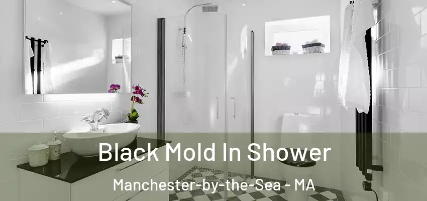  Black Mold In Shower Manchester-by-the-Sea - MA