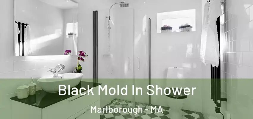 Black Mold In Shower Marlborough - MA
