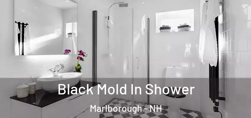 Black Mold In Shower Marlborough - NH