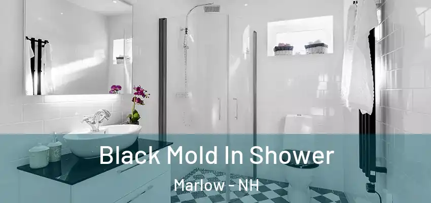 Black Mold In Shower Marlow - NH