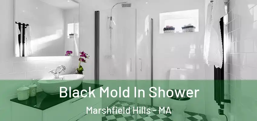  Black Mold In Shower Marshfield Hills - MA