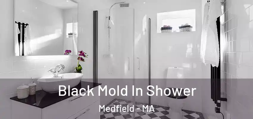  Black Mold In Shower Medfield - MA