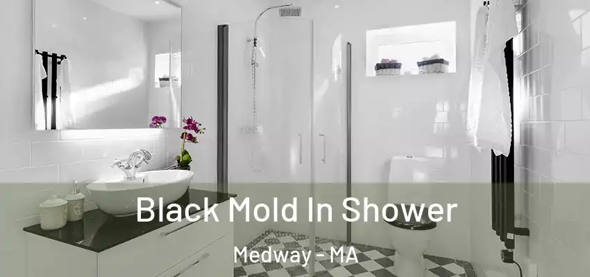 Black Mold In Shower Medway - MA
