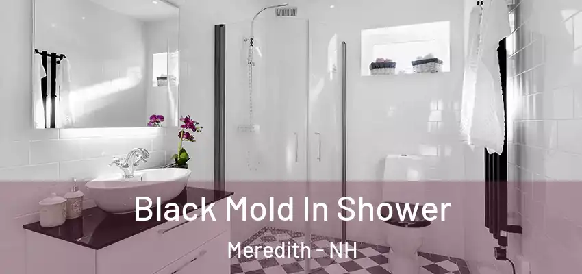 Black Mold In Shower Meredith - NH
