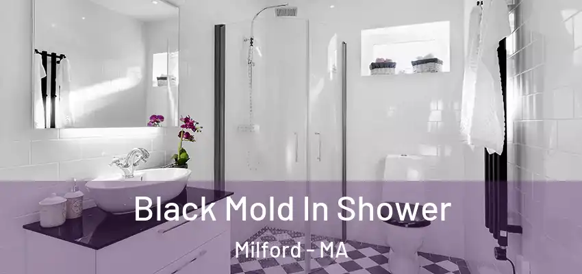 Black Mold In Shower Milford - MA