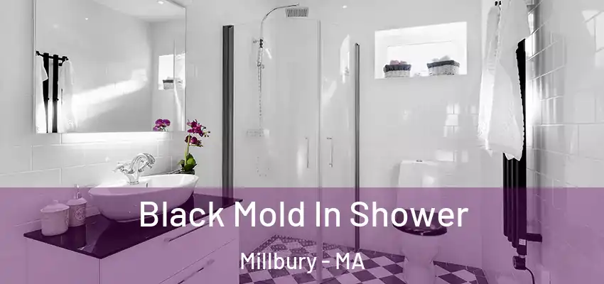 Black Mold In Shower Millbury - MA