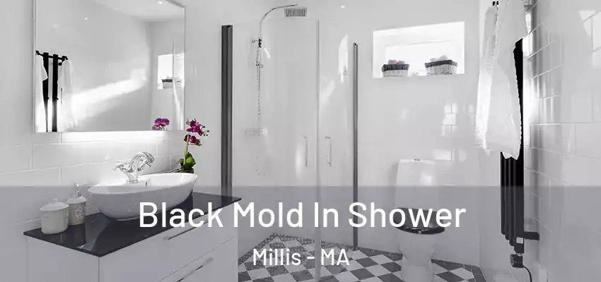 Black Mold In Shower Millis - MA