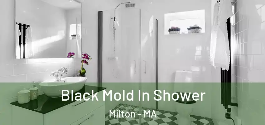 Black Mold In Shower Milton - MA