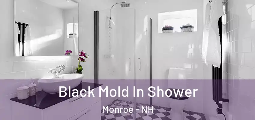 Black Mold In Shower Monroe - NH
