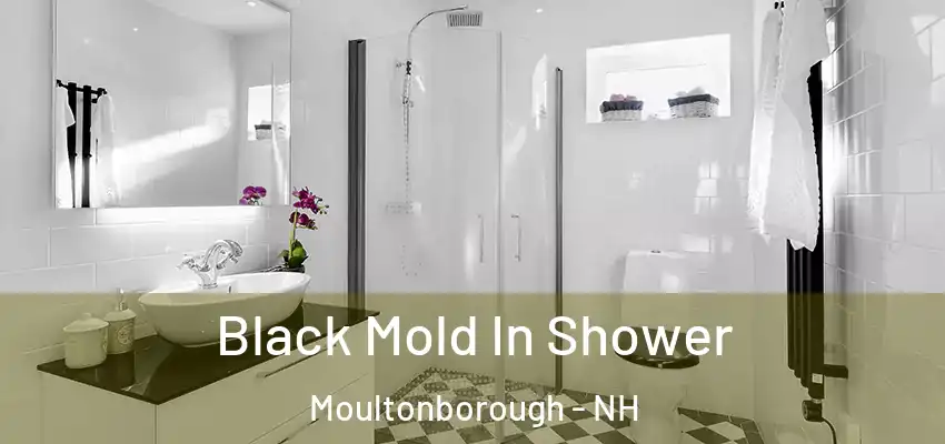  Black Mold In Shower Moultonborough - NH
