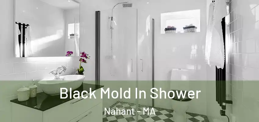  Black Mold In Shower Nahant - MA