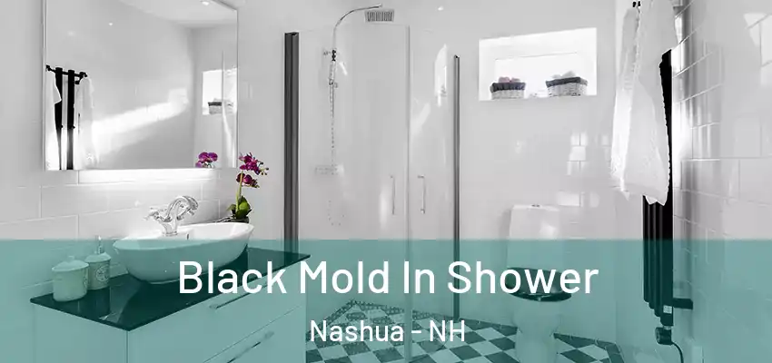 Black Mold In Shower Nashua - NH